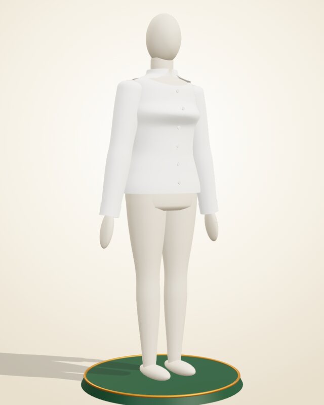 Corporate shirt or blouse on the C-Mes 3D mannequin