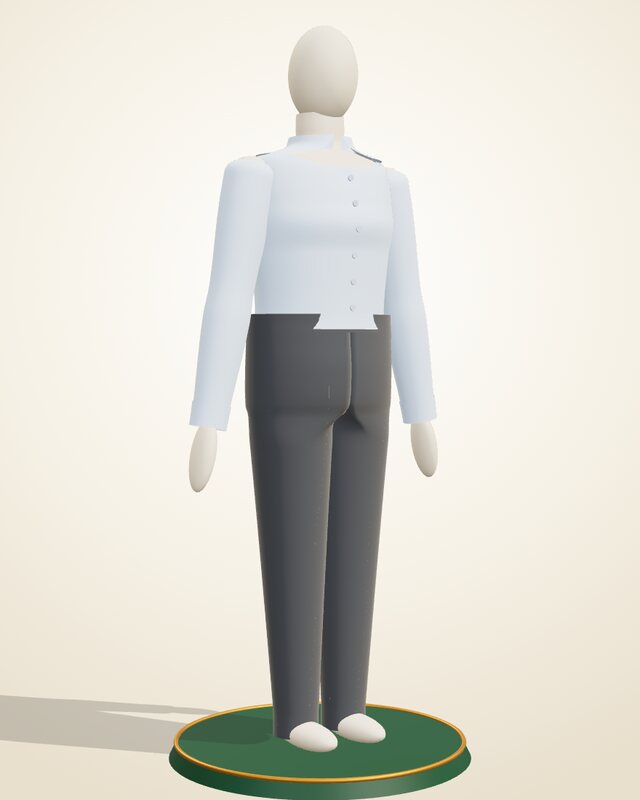 Shirt and trousers set on the C-Mes 3D mannequin